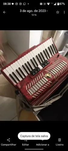 Vende-se acordeon 180 baixos em perfeito estado.