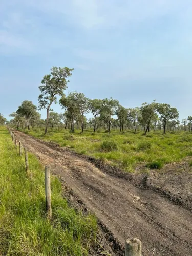FAZENDA DE 1.253 HA CORUMBA PARA ARRENDAMENTO