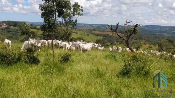 Fazenda em Abadiânia, muita água (permuta total se for em Goiânia) GOIANIA - GO