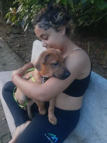 ? FILHOTE PARA ADOÇÃO RESPONSÁVEL (3 MESES)