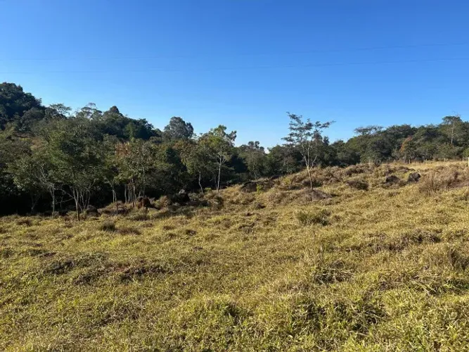 Terreno Rural 1 Hectare em Crucilândia/MG - Riacho, Água, Luz e Escritura