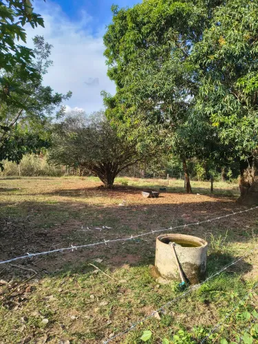Aluguel de Piquete para cavalo com sombra, água e alimentação