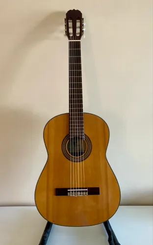 Violão Eagle DH com Tensor 