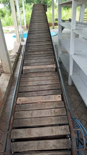 Esteira transportador