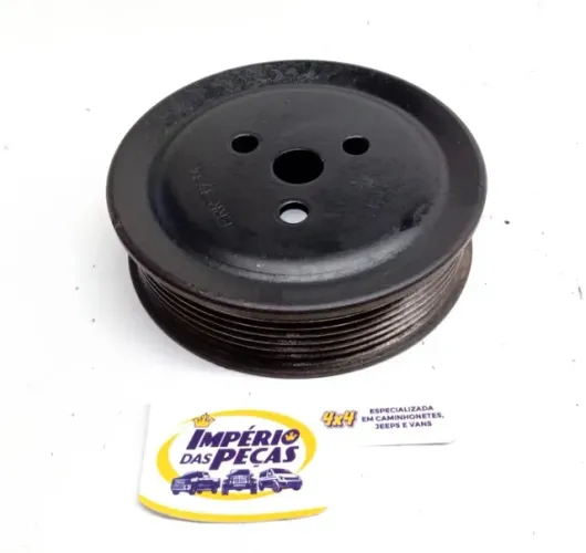 Polia Bomba Agua S10 Ranger Sprinter 2.5 Maxion 98/04 #30312