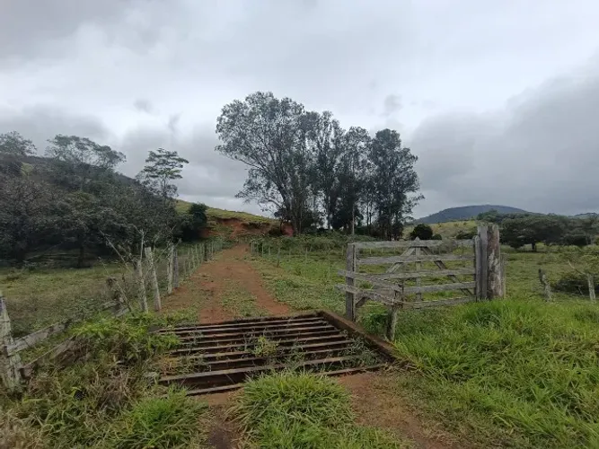 Ótimo sítio venda em São João Nepomuceno MG. 33 hectares.