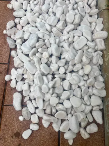 Seixo polida branca 