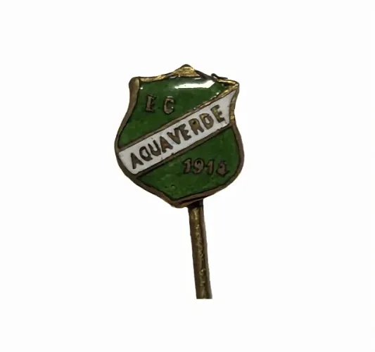 Raro Pin Do Esporte Clube Água Verde Anos 60 Raridade Paraná Verde futebol