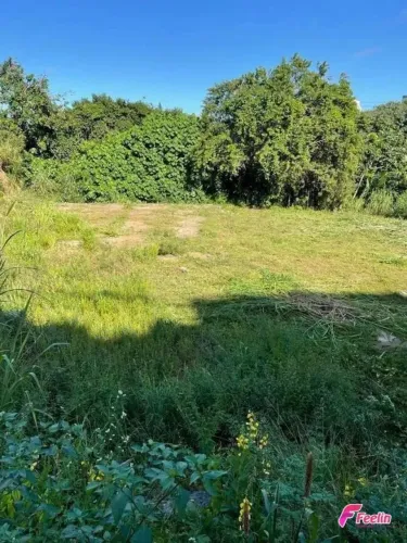 Terreno para Venda em Florianópolis, Estreito