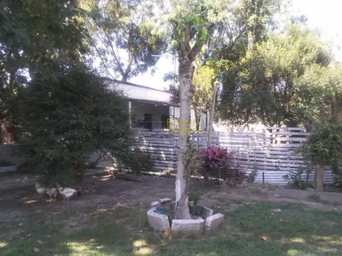 Chácara com 3 dormitórios à venda, 934 m² por R$ 900.000,00 - Pedro Leme - Roseira/SP