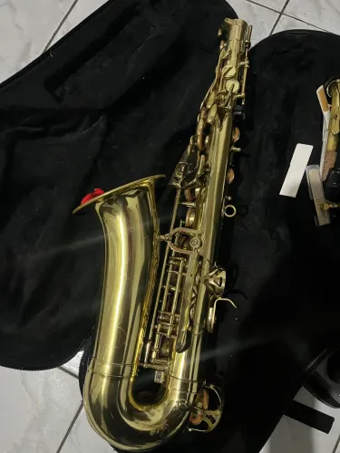 Sax Alto Shelter