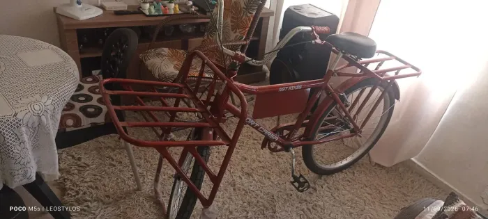 Bicicleta de carga