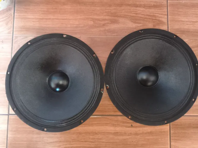 Par alto falante de 10 polegadas woofer 