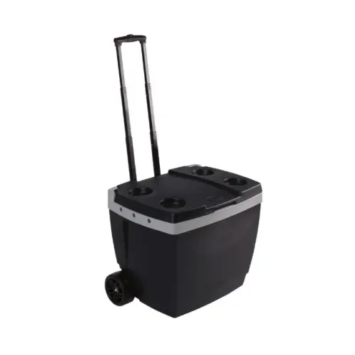 Caixa térmica / cooler 42L Mor