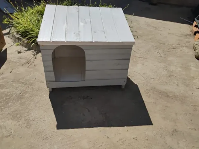 Vendo casinha cão pequeno porte