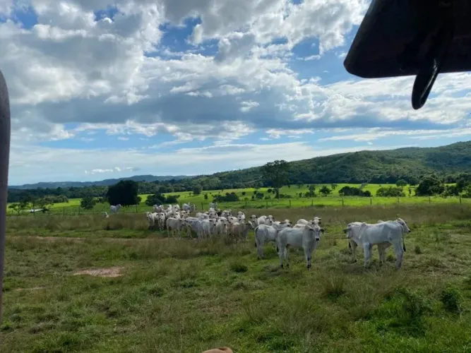 Fazenda Venda, 214 alqueires, Iporá Goiás, Israelândia Goiás, G0-060, Goiás, Goiânia