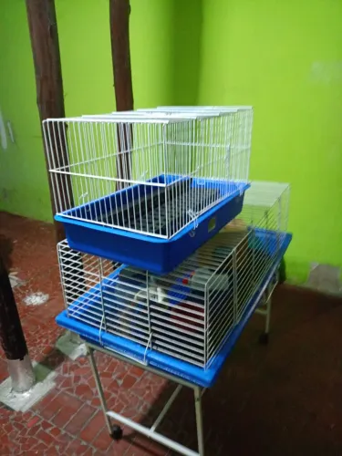 Gaiola Grande Para Coelhos E Roedores Leia a Descrição