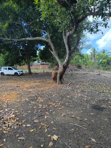 Vendo e troco terreno 320 M2- Abreu e Lima 
