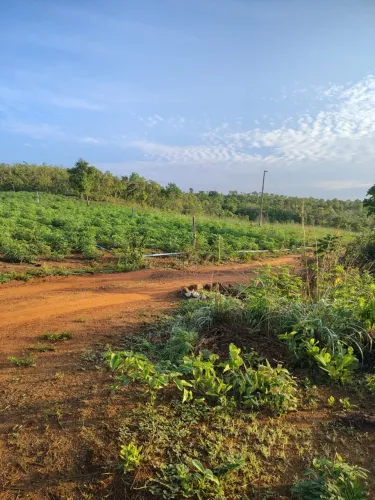 Vende se chácara pra produção agrícola 