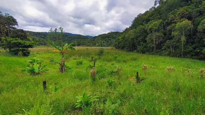 INCRIVEL SITIO DE 10 ALQUEIRES COM PASTO, CASA E CURRAL, NA CIDADE DE SETE BARRAS/SP