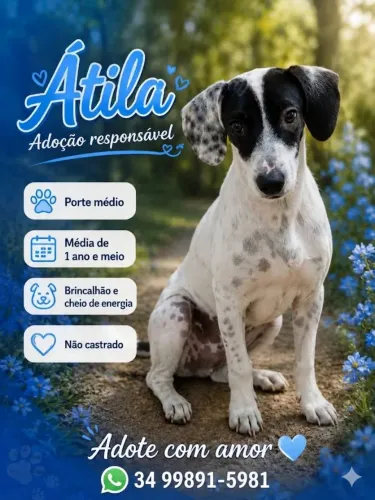 Doação 