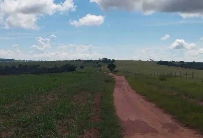 COD.581 - Fazenda 407 ha com 9.000 pés de Laranja Produzindo | MS