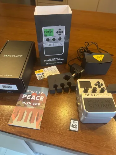 Pedal Beatbuddy singular sound