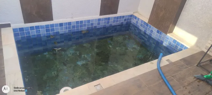 Pisceiroo