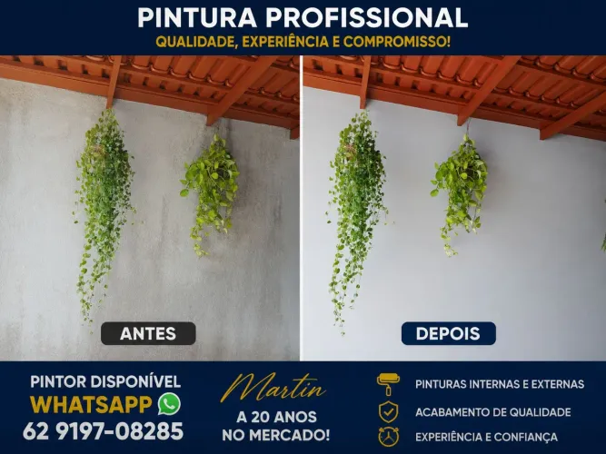 Pintor proficional