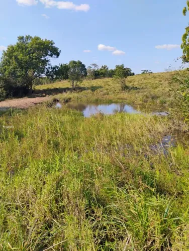 Sítio para Venda em Martinópolis, Vila Alegrete, 2 dormitórios, 1 banheiro