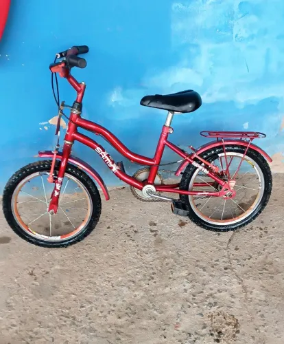 Bicicleta infantil até 50 kg de 3 a 8 anos Passo Cartão
