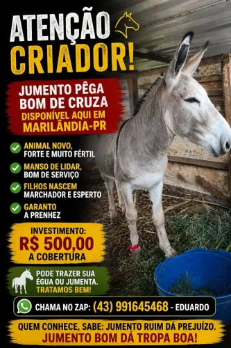 Jumento