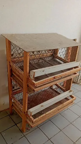Viveiro de codornas