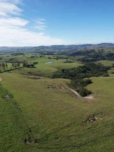 Fazenda com 4 dormitórios à venda, 1821546 m² por R$ 13.548.690,00 - Águas Claras - Ribeir