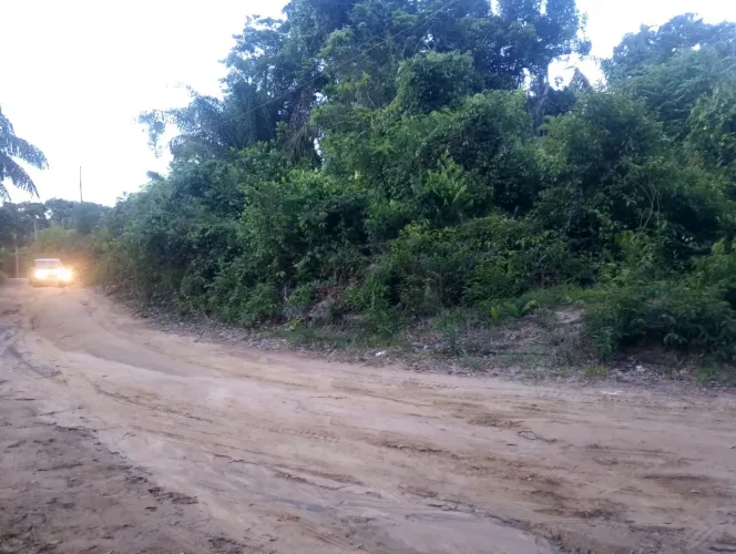 Vendo terreno 100x100 no paricatuba número de contato 92 981 056 956