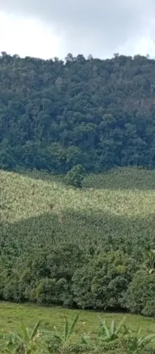 Terreno em Amarelos Guarapari