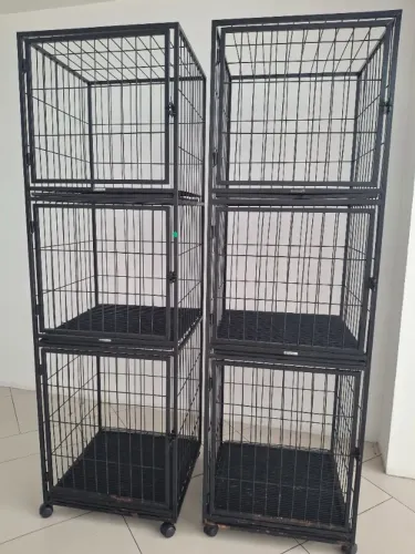 2 Gaiolas de Pet Shop com 3 lugares cada