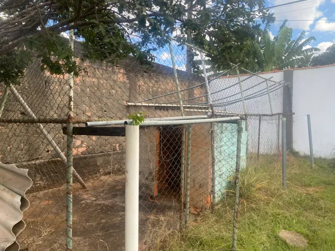 Vendo Canil 3X8 tela e ferragens 