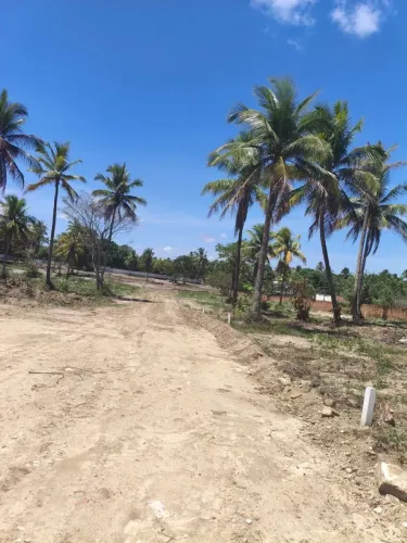 Terrenos para sitio prox. a Nova Cruz - Igarassu (parcelado)