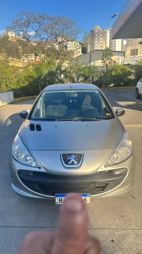 Peugeot 207 XR 1.4 Flex 8V 3P 2009