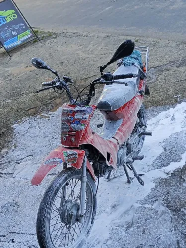 Phoenix 100 cc