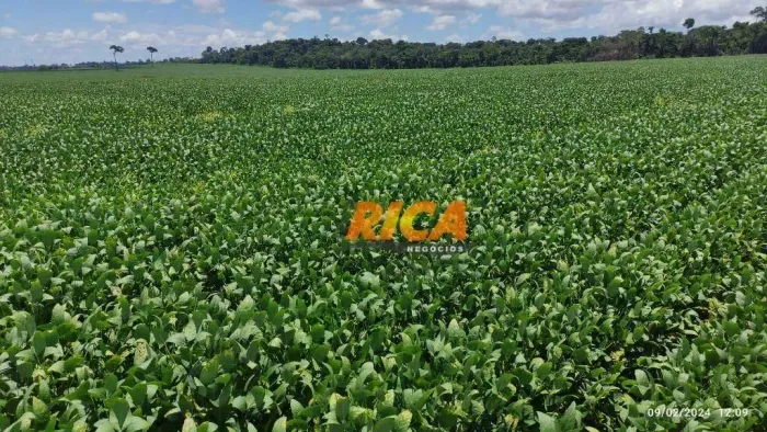 Vende-se fazenda com plantio de lavoura com: 1.178 hectares na área rural de Candeias do J