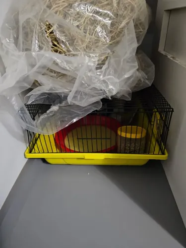 Terrário Hamster/Gerbil