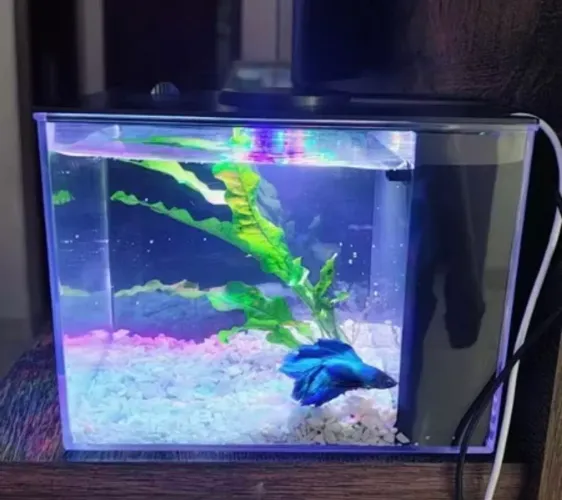 Aquário 4,5l
