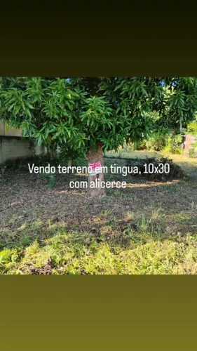Vendo terreno em tingua 10x30 nova Iguaçu 