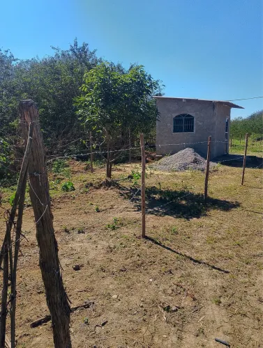 Terreno na entrada da estrada das Palmeiras