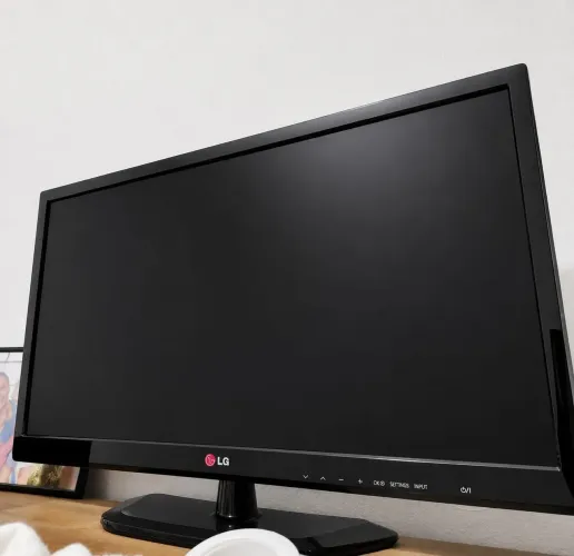 Televisão / Monitor 24 LG