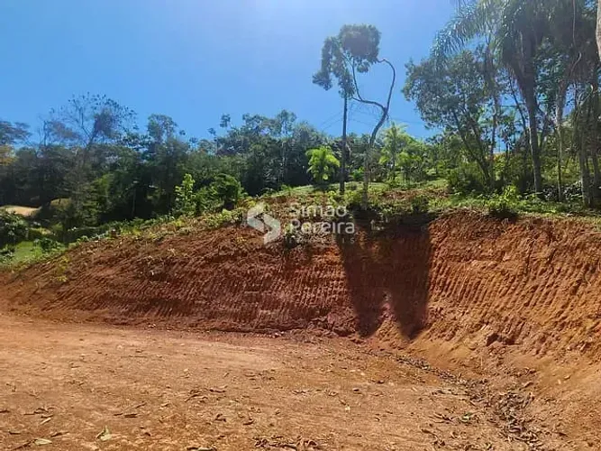 Imóvel para venda com 3696m² em Centro - Simão Pereira - MG