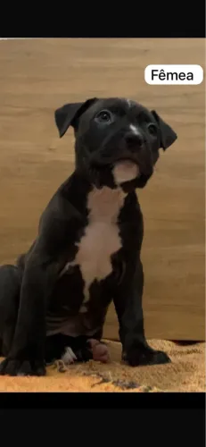 Pit monster