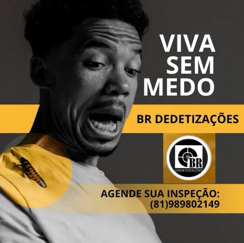 Dedetização em Olinda e Recife | BR Dedetizações